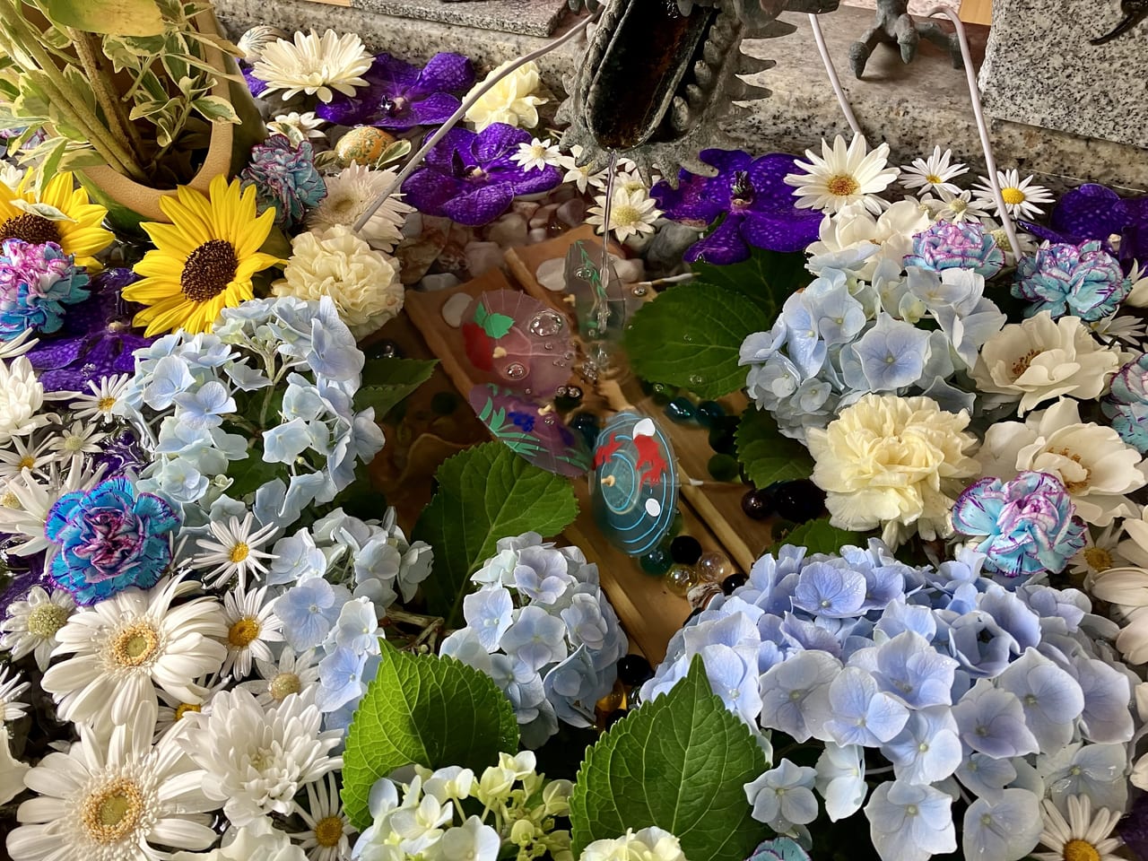 花手水が人気の『札幌諏訪神社』☆種類豊富なおみくじもありました！アマビエ様もそっと見守っています