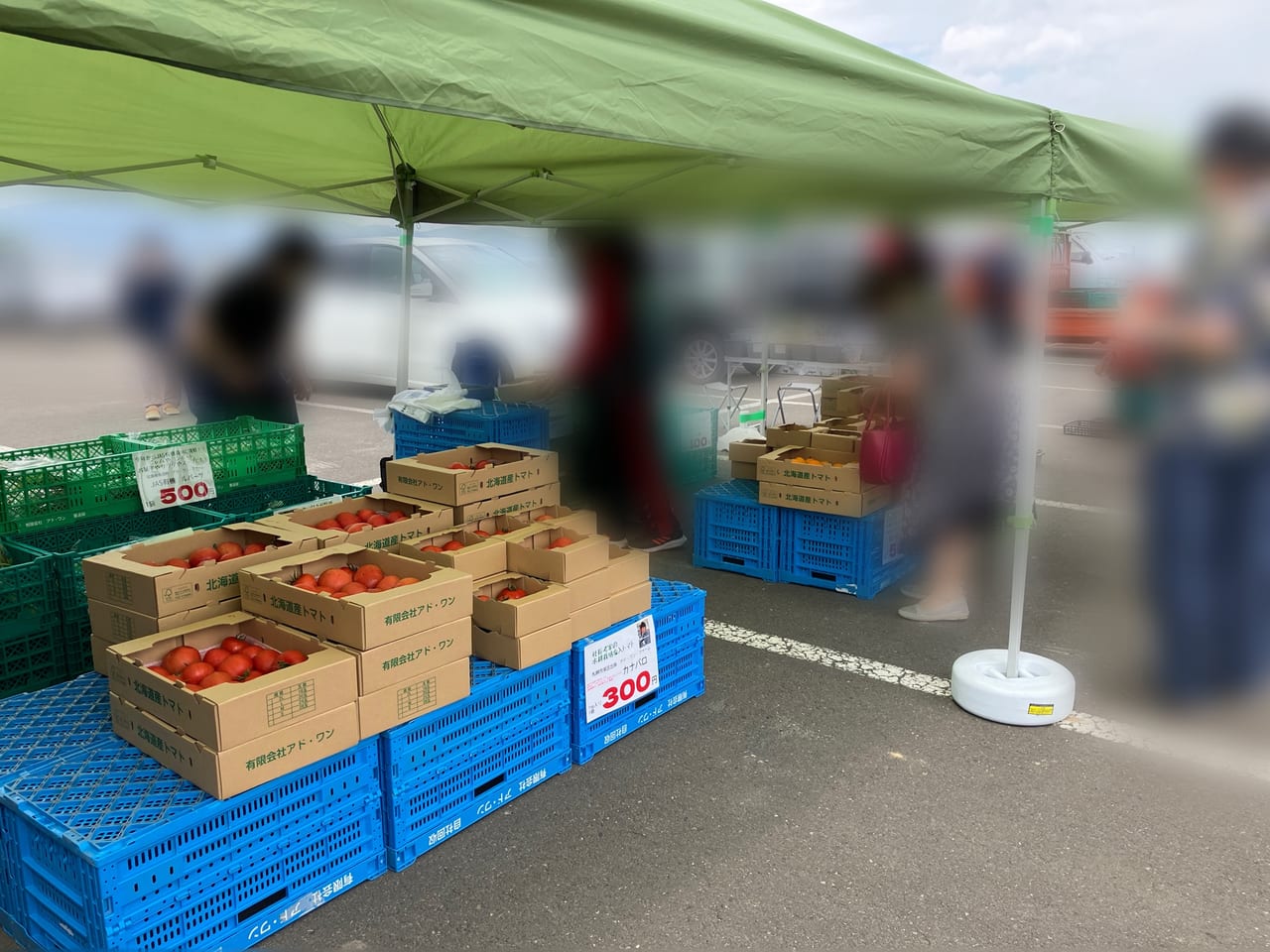 今年度の第一回目「丘珠あおぞら市」に行ってきたよ！新鮮な野菜や果物、お花が豊富に売られていました♪次回は7月2日（土）に開催予定。