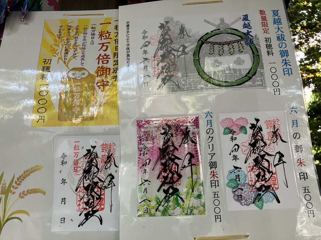 心穏やかになれる場所『札幌諏訪神社』。6月の花手水は紫陽花。一面のお花に感激と癒しをもらえます。