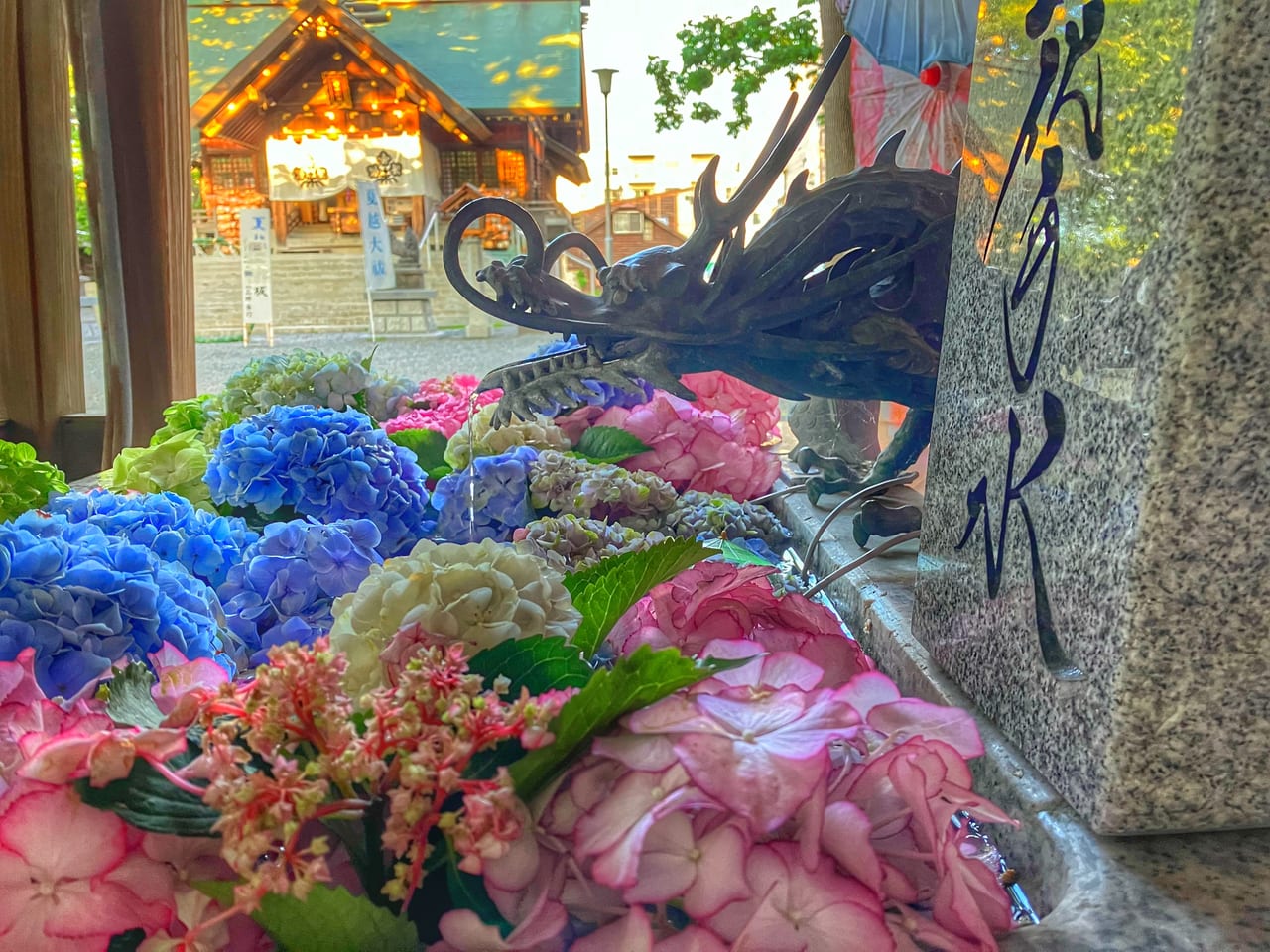 心穏やかになれる場所『札幌諏訪神社』。6月の花手水は紫陽花。一面のお花に感激と癒しをもらえます。