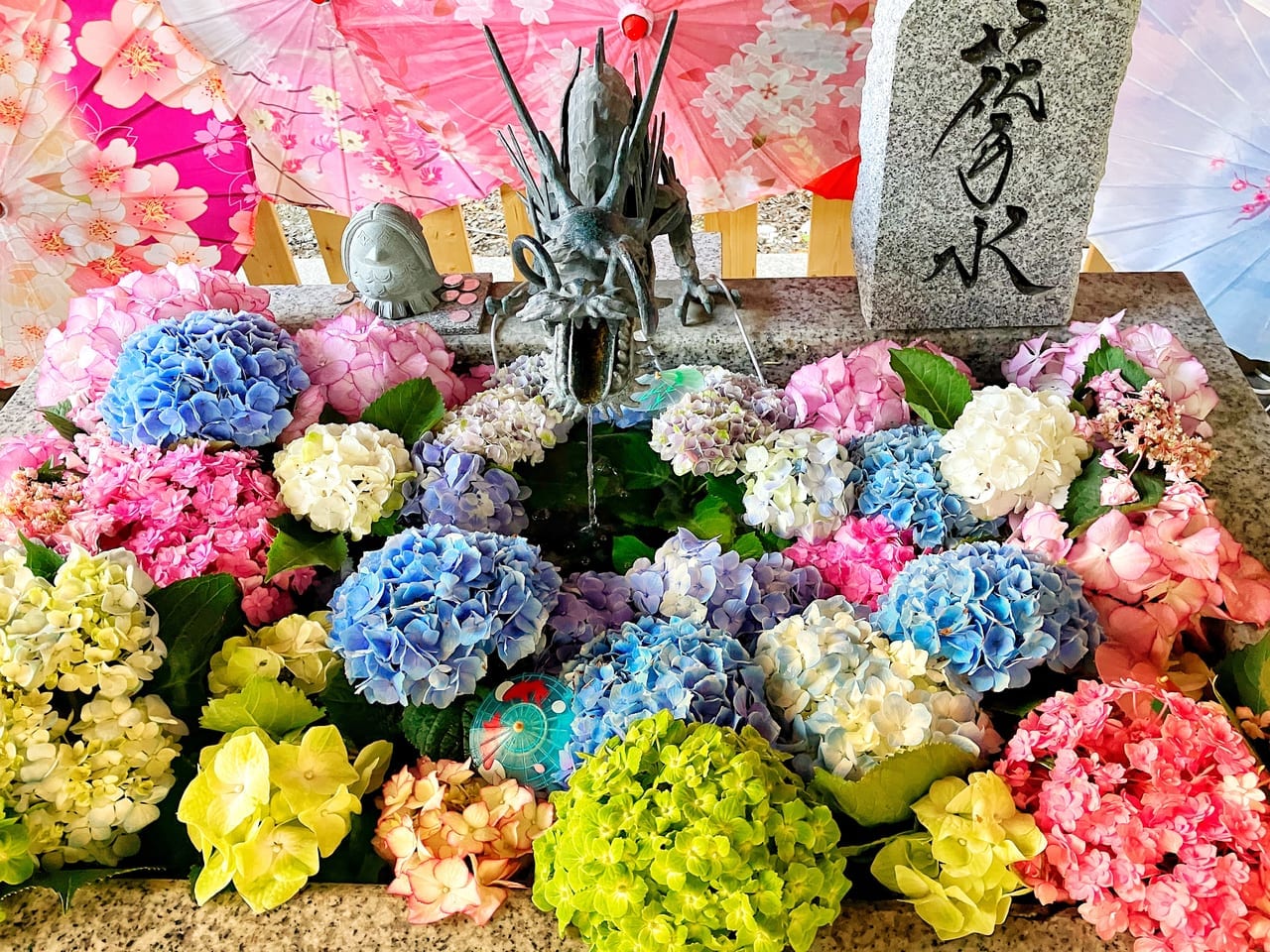 心穏やかになれる場所『札幌諏訪神社』。6月の花手水は紫陽花。一面のお花に感激と癒しをもらえます。