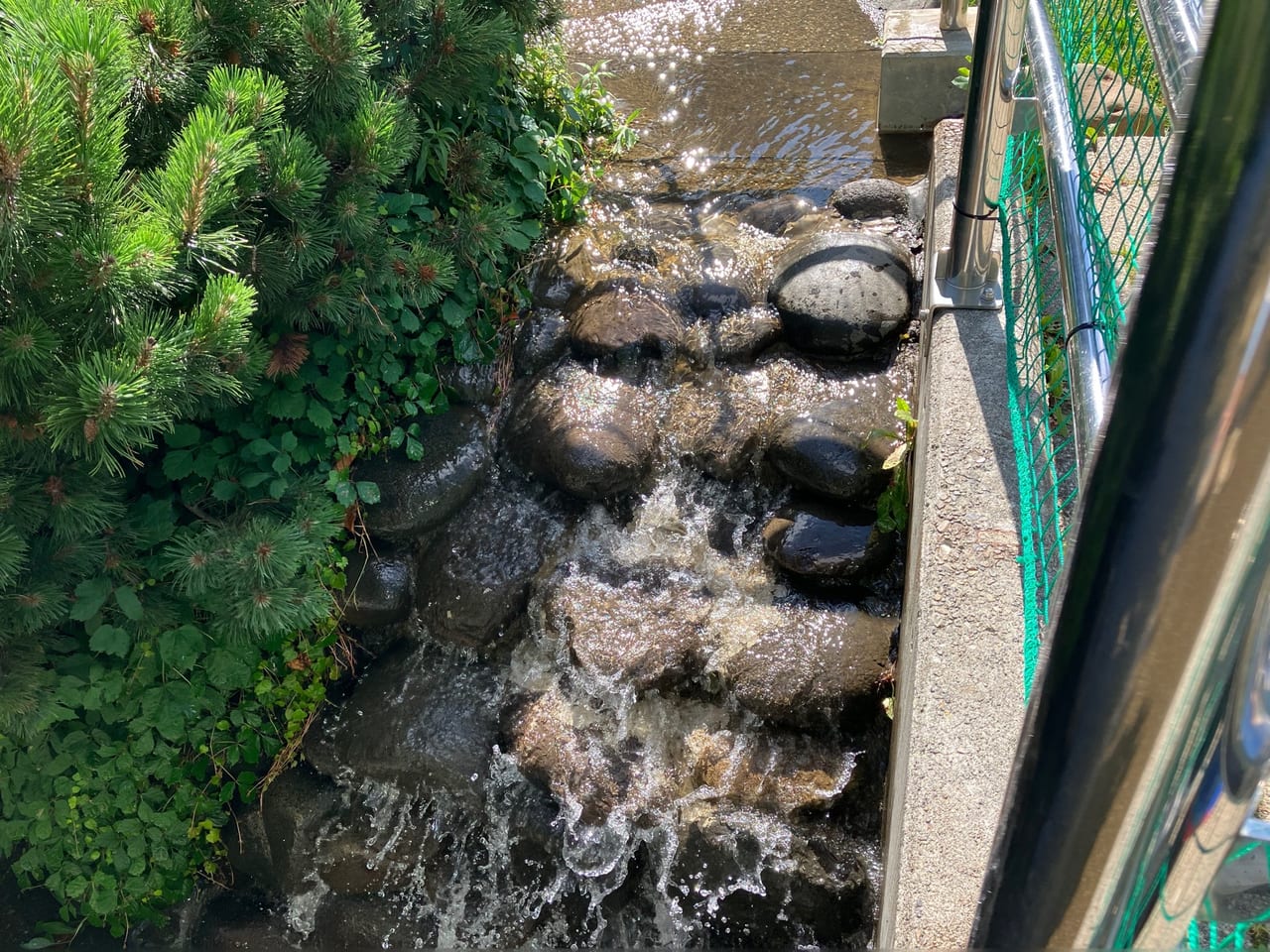 夏本番！「大友公園」は遊水路の水がとても冷たくて気持ち良く、涼むには最高のロケーションです。