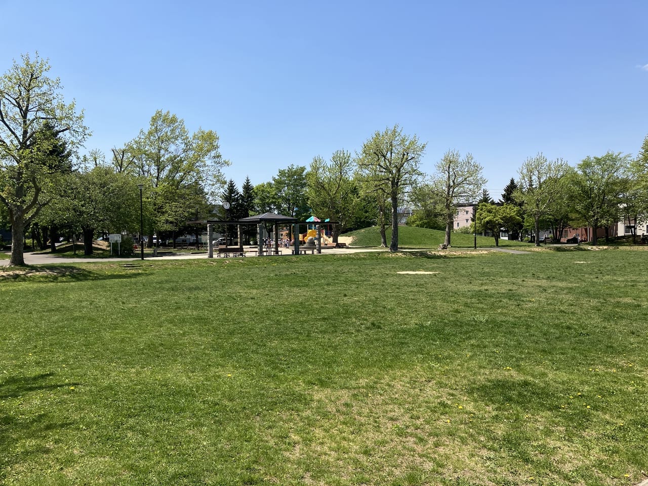 「グリーン公園」は小さなお子様でも安心して水遊びができますよ♪広い芝生広場もあるのでピクニックにもおすすめ！