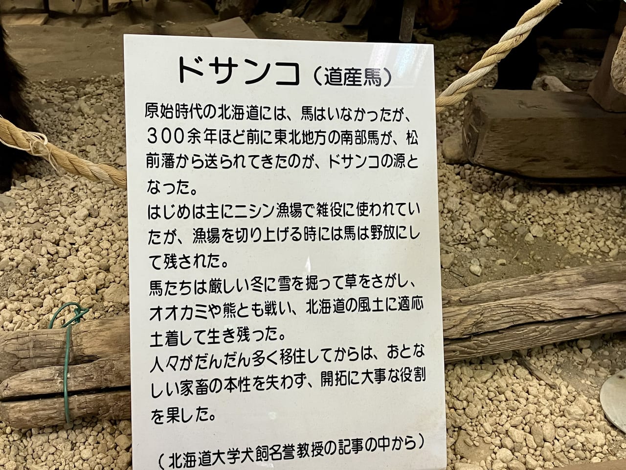 東区特産の札幌黄の由来はどこからきたの？　ルーツを知れる場所「札幌村郷土記念館」に行ってみた。