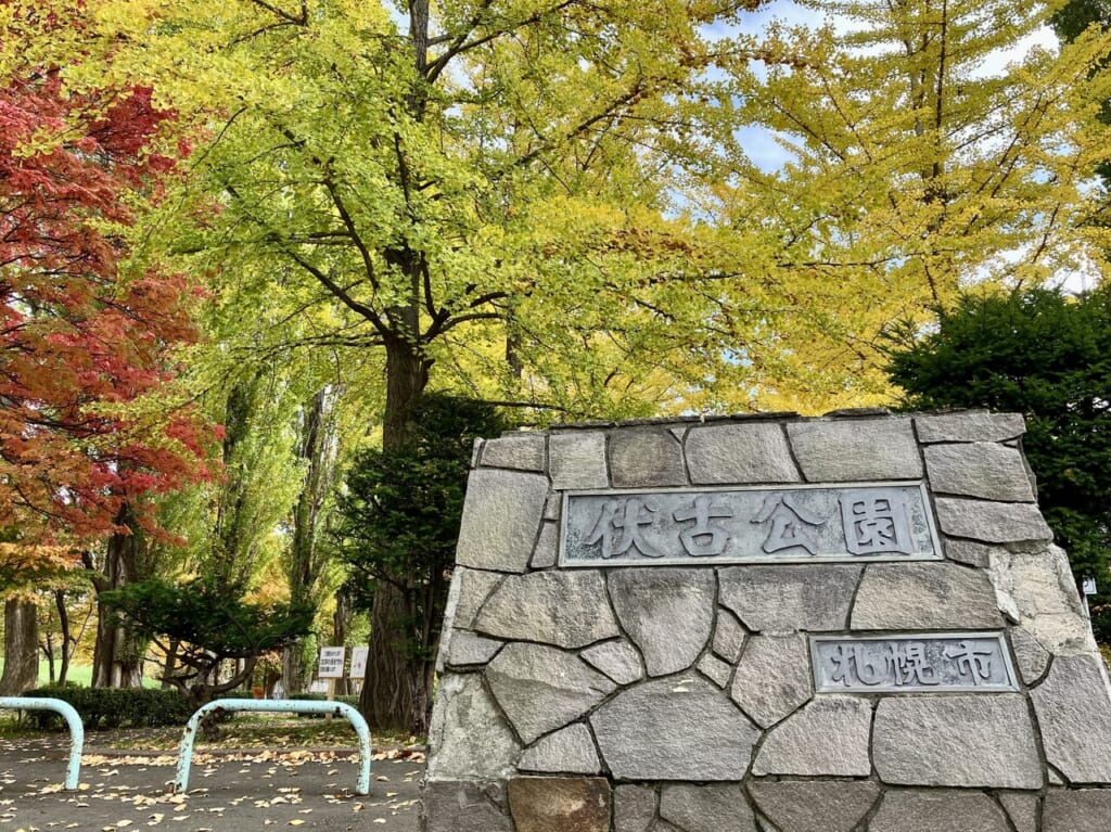ポプラ並木が消える？ 紅葉の見ごろを迎えた「伏古公園」新たに改修工事が行わる事がわかりましたよ。