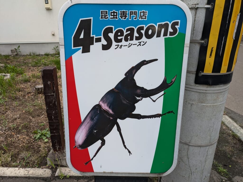 カブトムシ・クワガタフォーシーズン
