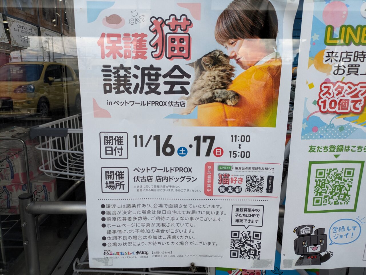 保護猫譲渡会　ジョイフル