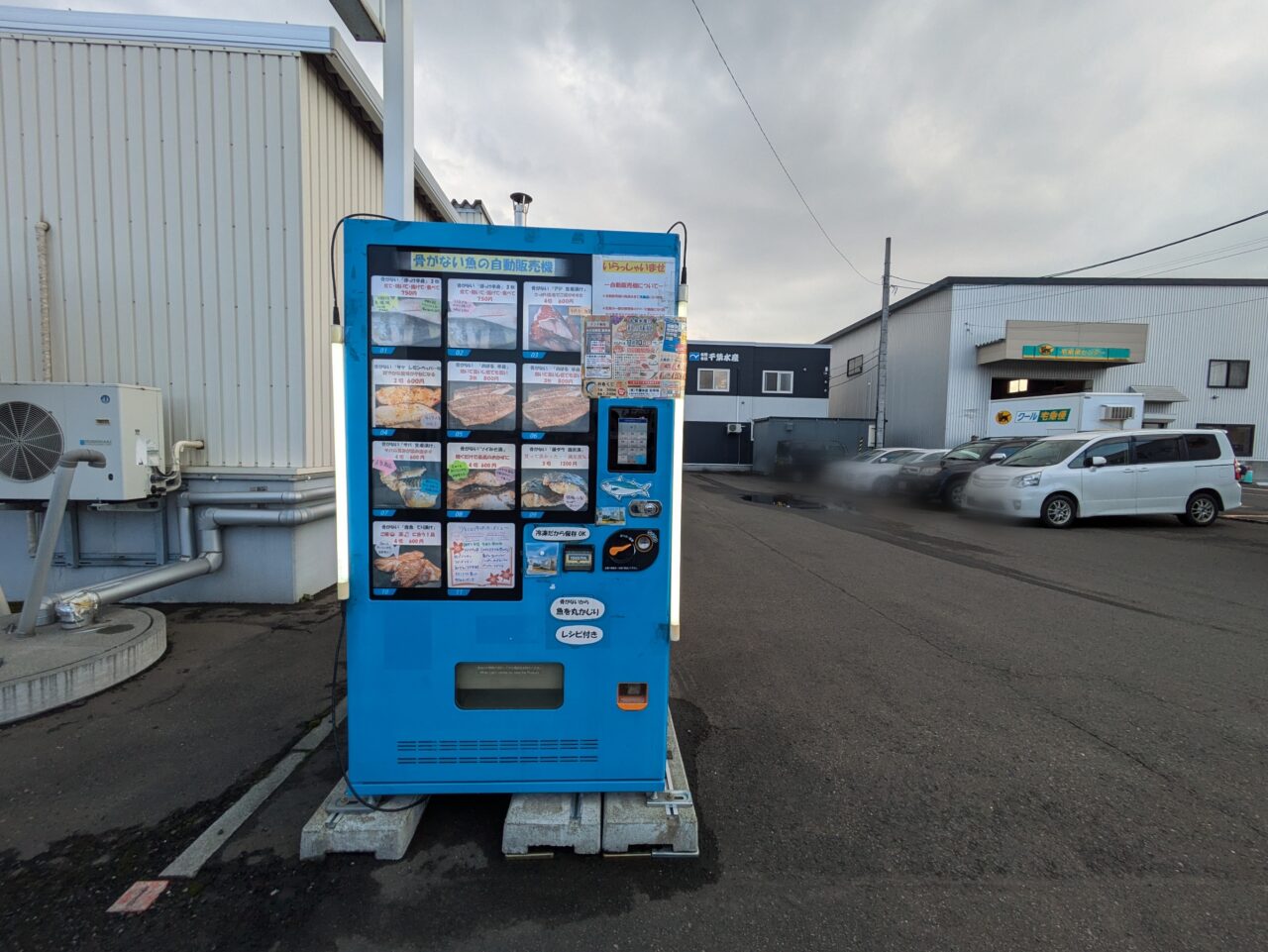 骨がない魚の自動販売機