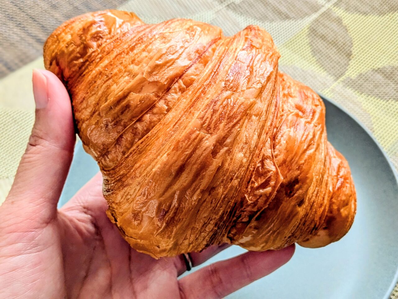 コンガリーナ　移転