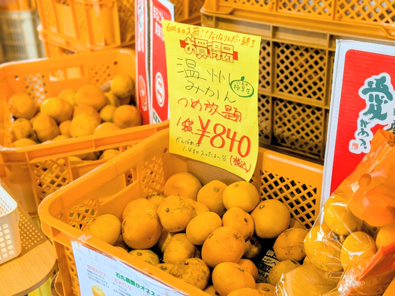 みきゃんパーク　札幌