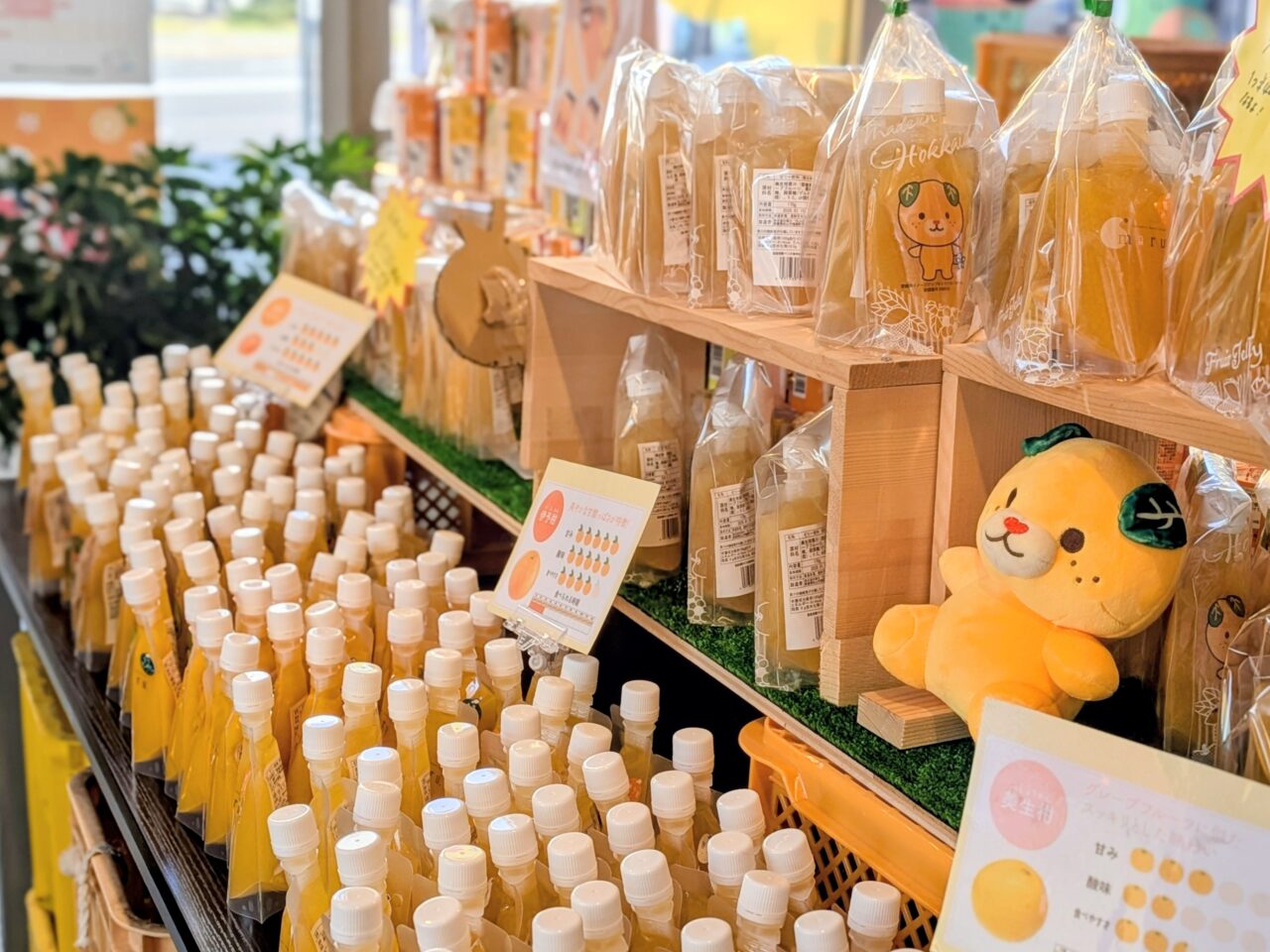 みきゃんパーク　苗穂