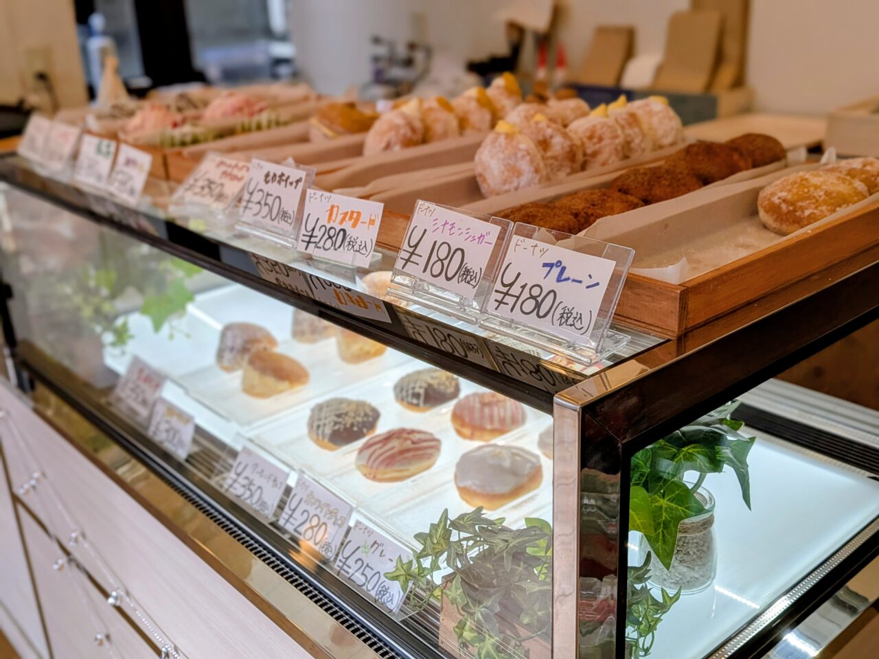 生ドーナツ　クレドナ