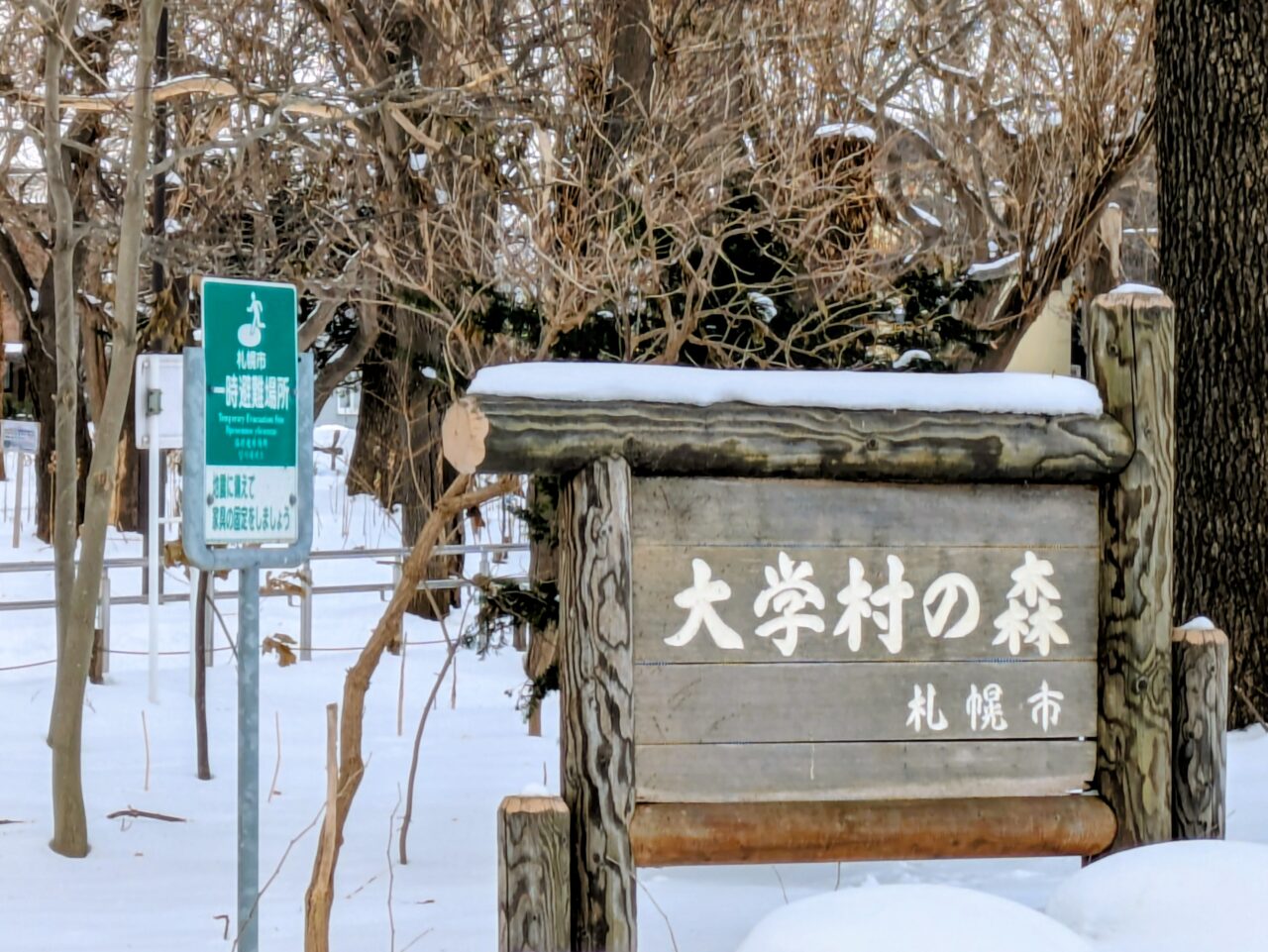 大学村の森　スノーキャンドル