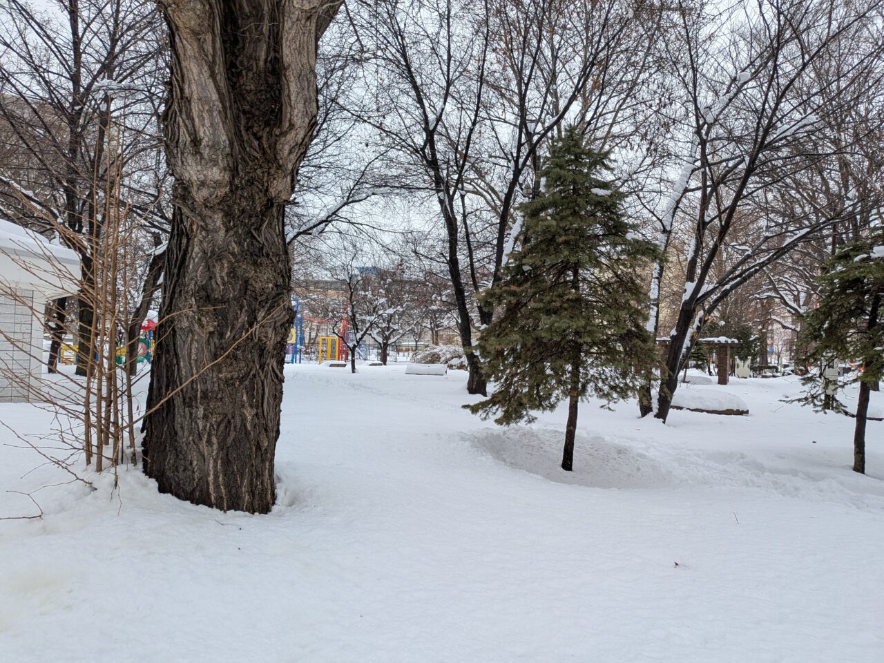 鉄東地区　冬の祭典