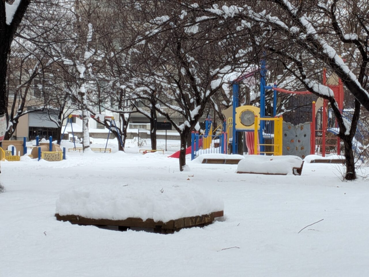 新生公園　前夜祭