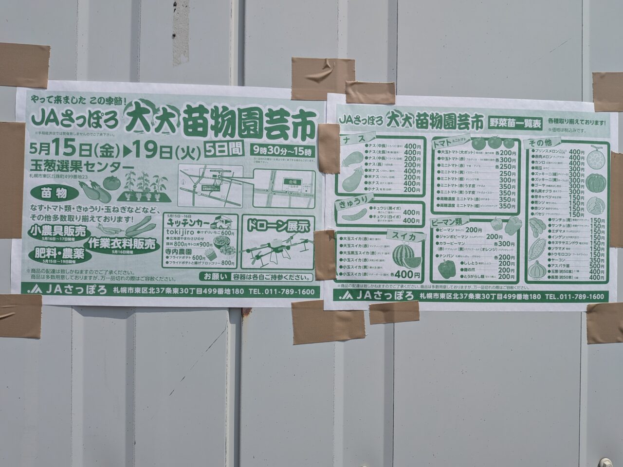 苗物園芸市　